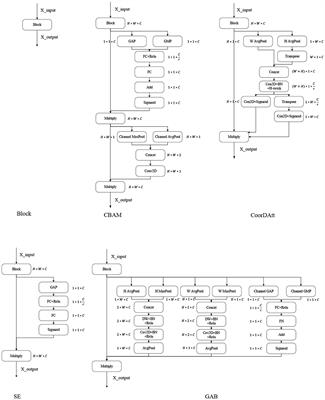 GABNet: global attention block for retinal OCT disease classification
